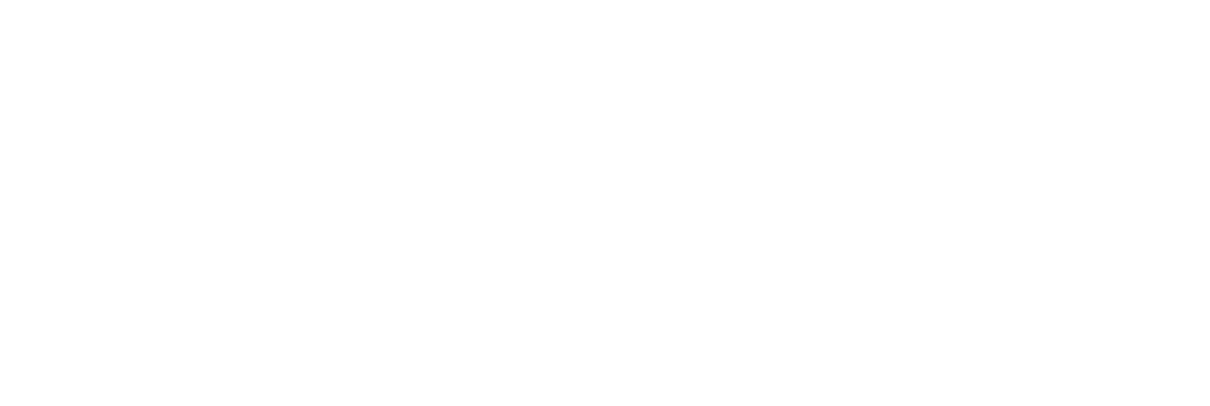 Leibniz Institute for the History and Culture of Eastern Europe (GWZO) home